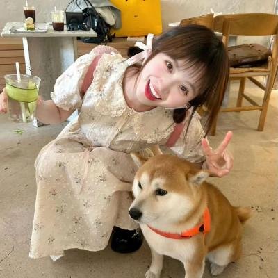 战舰春光
